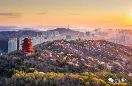 烟花三月游丹东 边境风情与春色交融的别样之旅