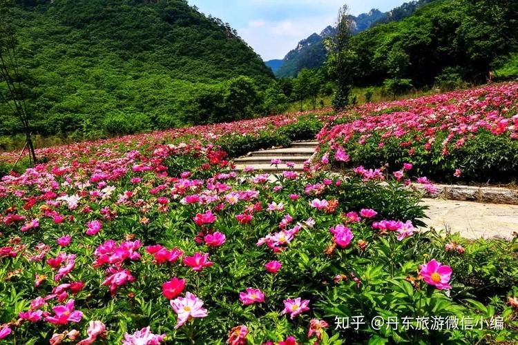 丹东旅游:东北第一!天桥沟5d全景玻璃桥,刺激体验你敢来吗?